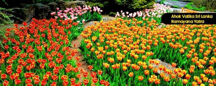 Ashok Vatika / Ashok Vanam Sita Eliya Sri lanka Image