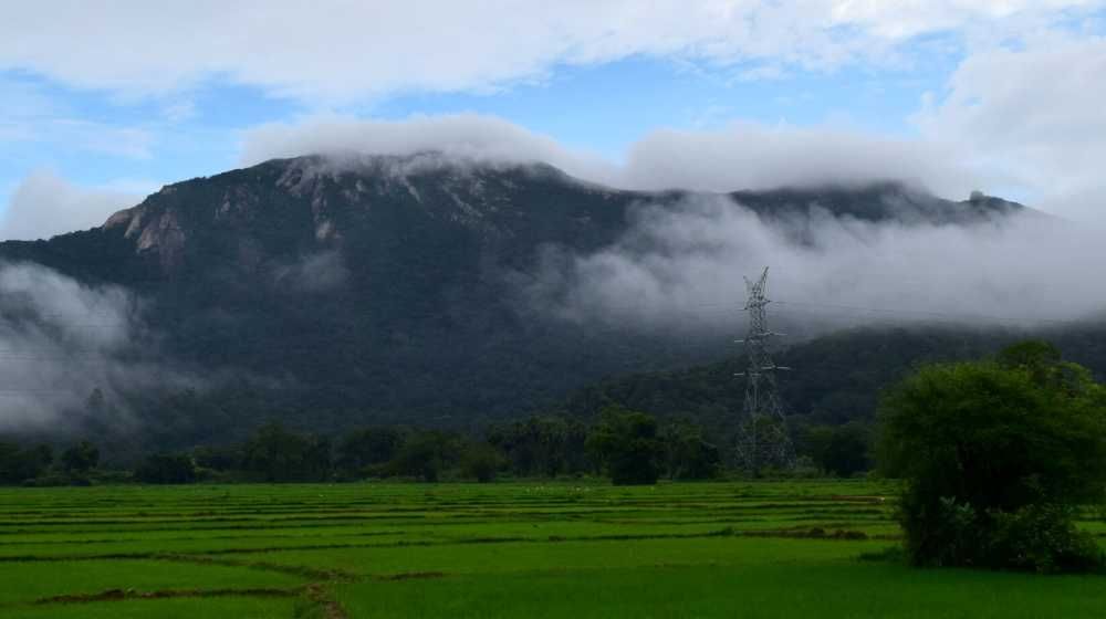 Ritigala Sanjeevani Mountain (Ritigala Strict Nature Reserve) Sri Lanka