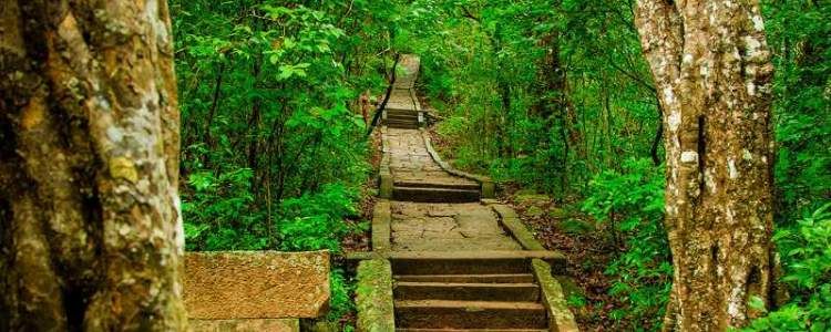 Ritigala Sanjeevani Mountain (Ritigala Strict Nature Reserve) Sri Lanka Image