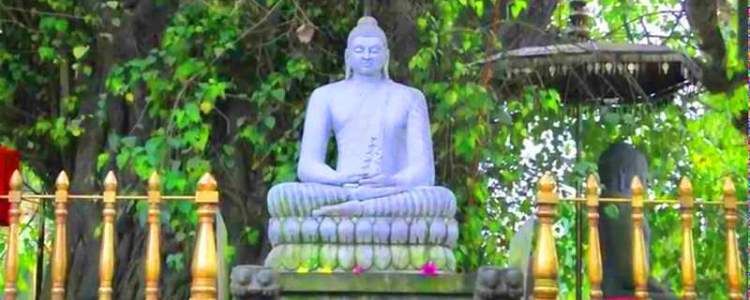 Kelaniya Buddhist Temple Image