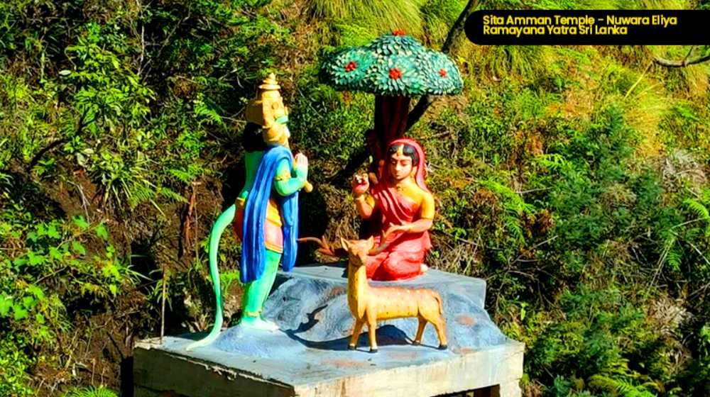 Thalladi Sanjeevani Drop