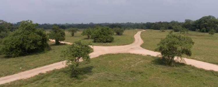 Yudaganawa Ramayana Site Image