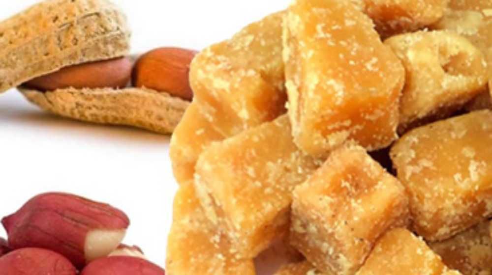 Kitul Tree Industry in Sri Lanka – Traditional Treacle & Jaggery Production