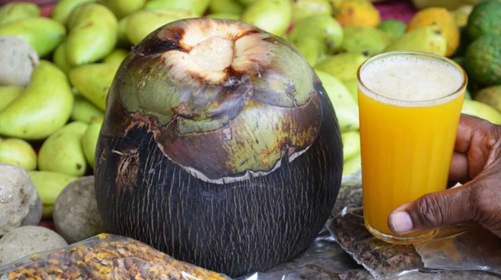 Sri Lanka Palmyra Tree based industry Image