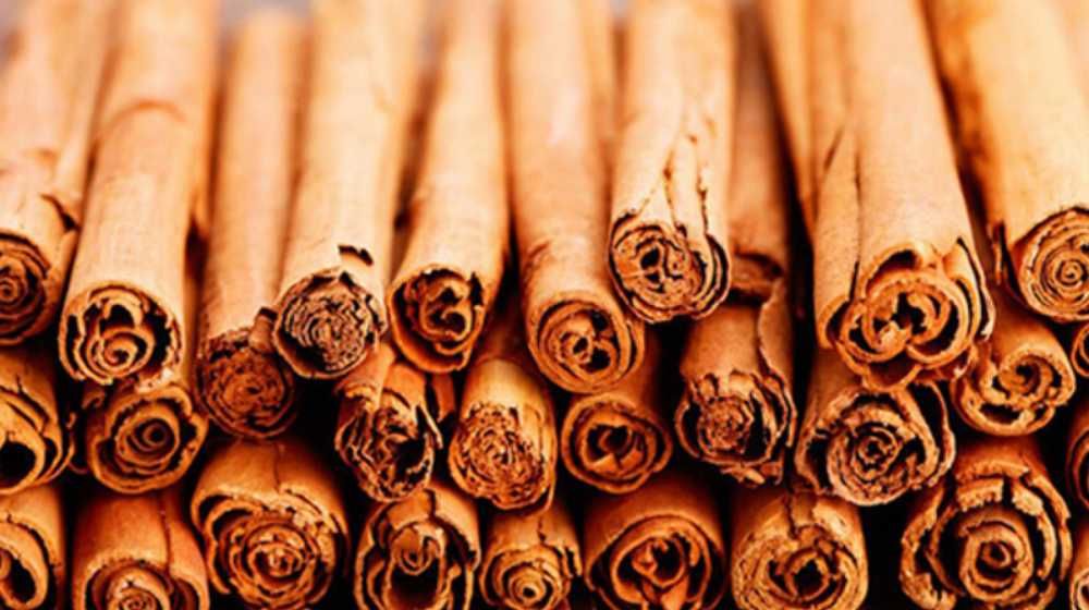 Sri Lanka Cinnamon Industry