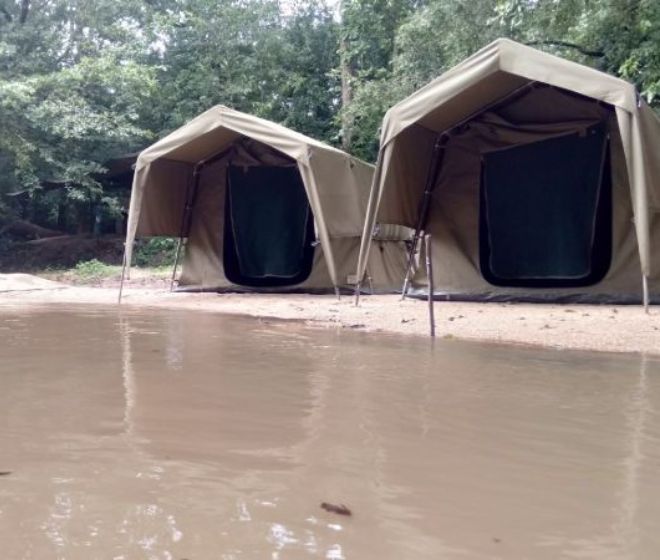 Luxury Tented Safari Camping in Kumana Sri Lanka