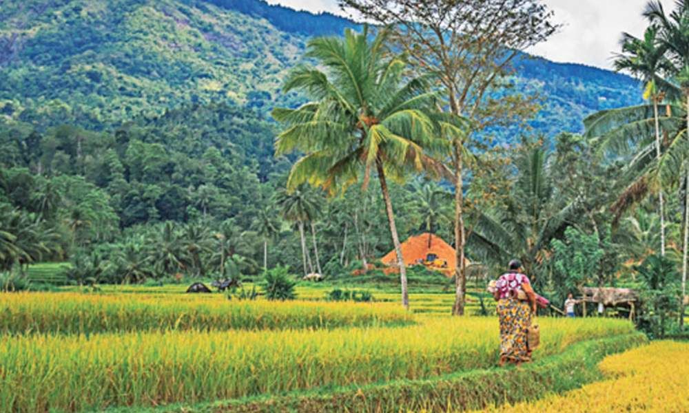 Disabled Friendly Holiday Sri Lanka Image