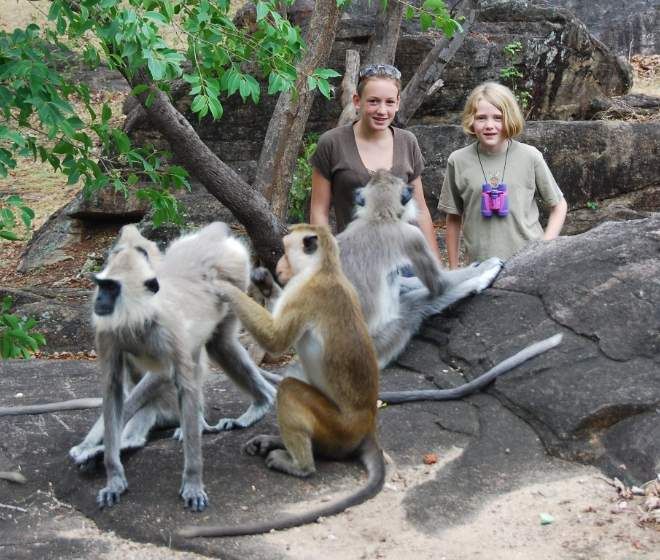 Educational Holidays Sri Lanka – (Primates Education)