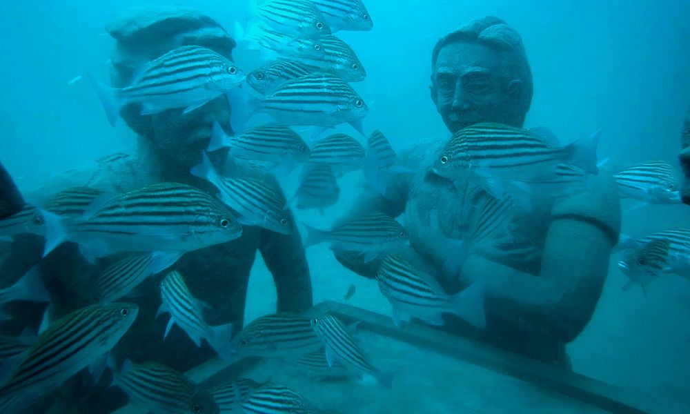 Underwater Museum Diving Package Sri Lanka (Galle) Image