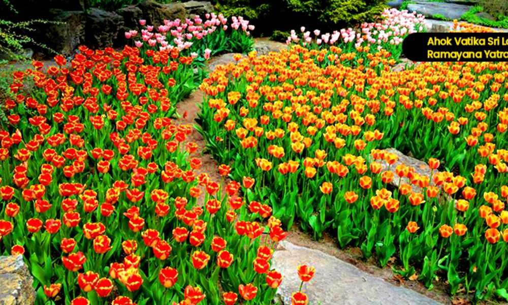 Babymoon holidays Sri Lanka – 15 days / 14 Nights Image