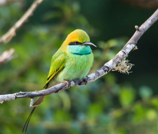 Female Solo Travel Sri Lanka 18 Nights - 19 Days Image