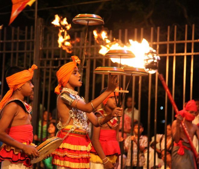 Solo Escorted Tours Sri Lanka 8 Nights - 9 Days Image