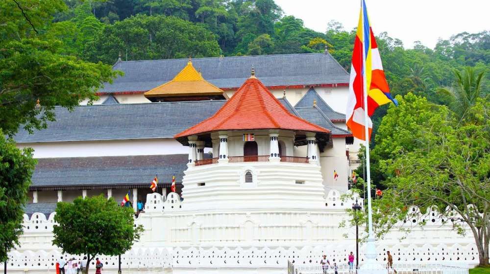 Buddhist Pilgrimage Tours in Sri Lanka | 15 Days Image