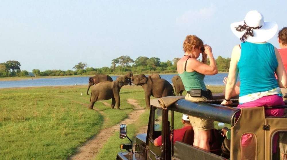 Luxury Family Holidays in Sri Lanka – 9 Nights / 10 Days Image
