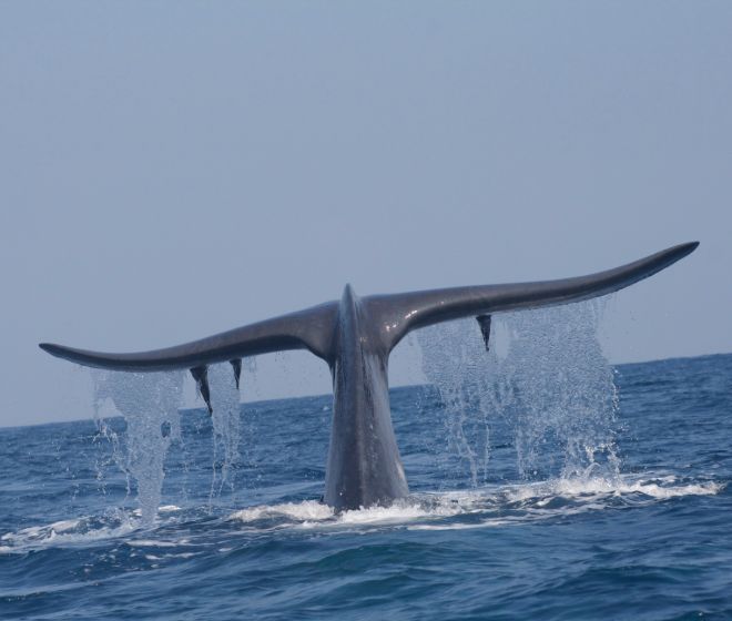 Family adventure holiday Sri Lanka 8 Days Image