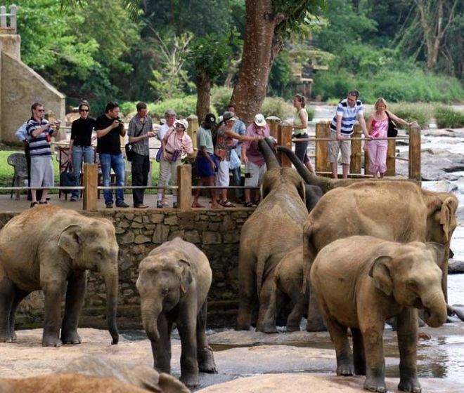 Family Holiday in Sri Lanka 5 Nights - 6 Days