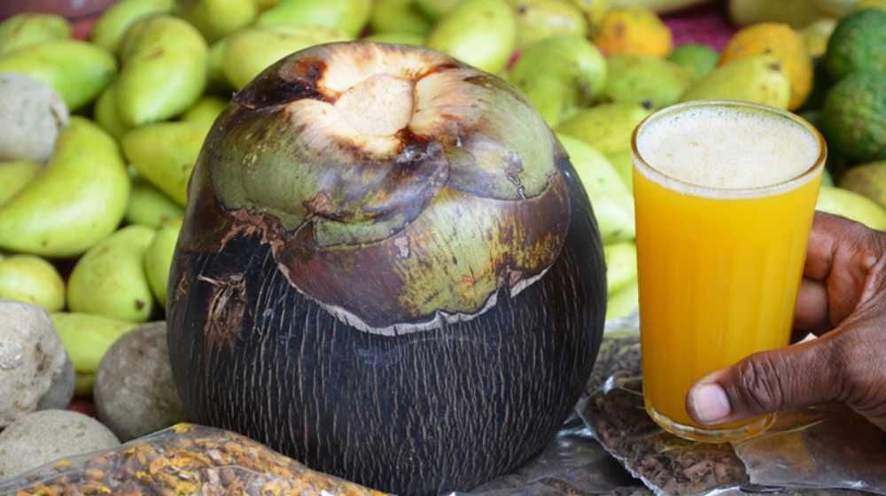 Off the Beaten Track Holidays Sri Lanka - 18 Days Image