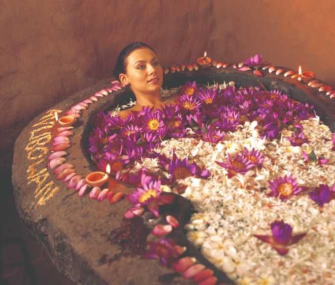 Ayurveda Wellness Holidays – 10 Days