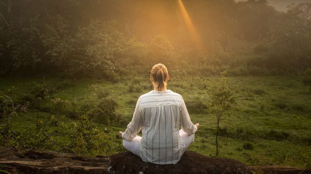 Ayurveda Wellness Holidays – 10 Days Image