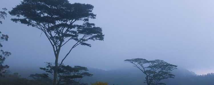 Knuckles Mountain Range Sri Lanka Image