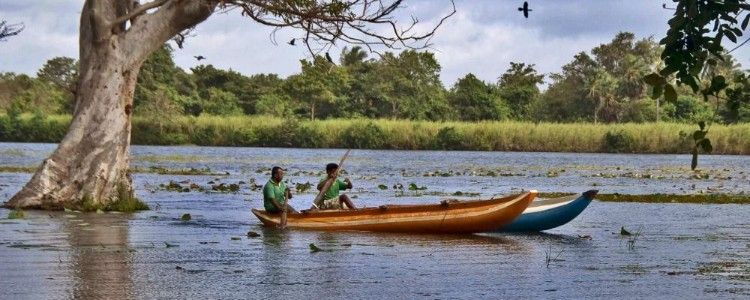 UK released the travel advice on Sri Lanka.