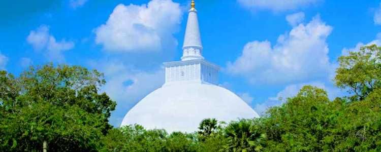 IATA Travel Pass by SriLankan Airlines on selected sectors Cover Image