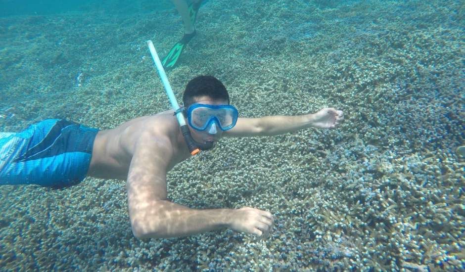 World Ocean Day Theme