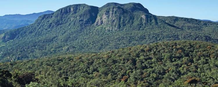 Hakgala Mountain Central Highlands