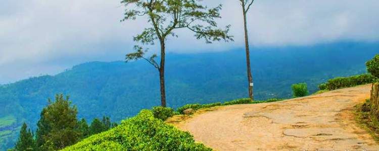 Sita Tear Pond Chariot Path Central Highlands