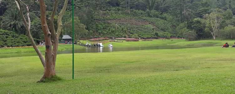 Seethawaka Wet Zone Botanic Gardens Avissawella