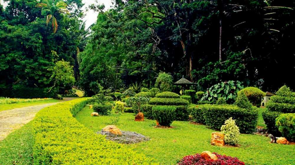 Gampaha Henarathgoda Botanical Gardens