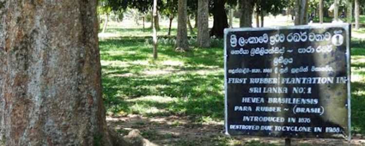 Gampaha Henarathgoda Botanical Gardens