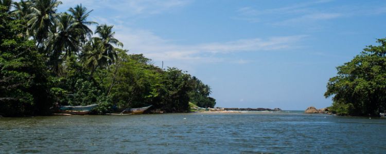 Madu River Boat Safari Sri Lanka