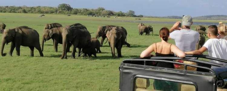 Gal Oya National Park