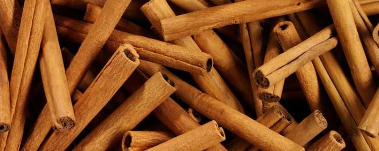 Cinnamon Industry Sri Lanka