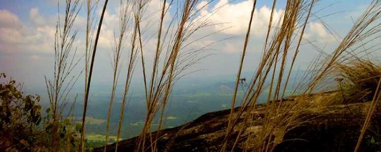 Dolukanda Sanjeewani Mountain