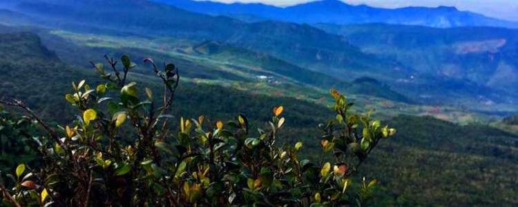 Dunuvila in Ramayana Trail Tours