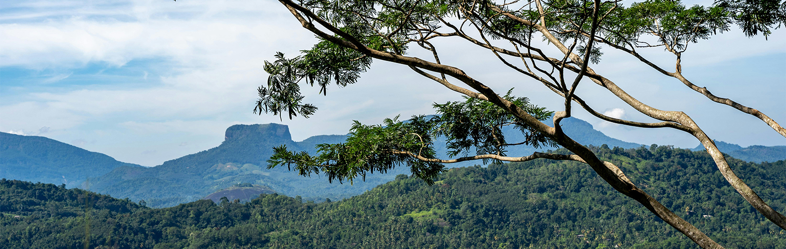 Central Highlands of Sri Lanka Image