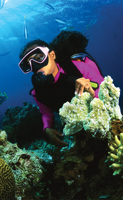 Experiential Holidays Sri Lanka