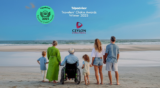 Award-Winning Service