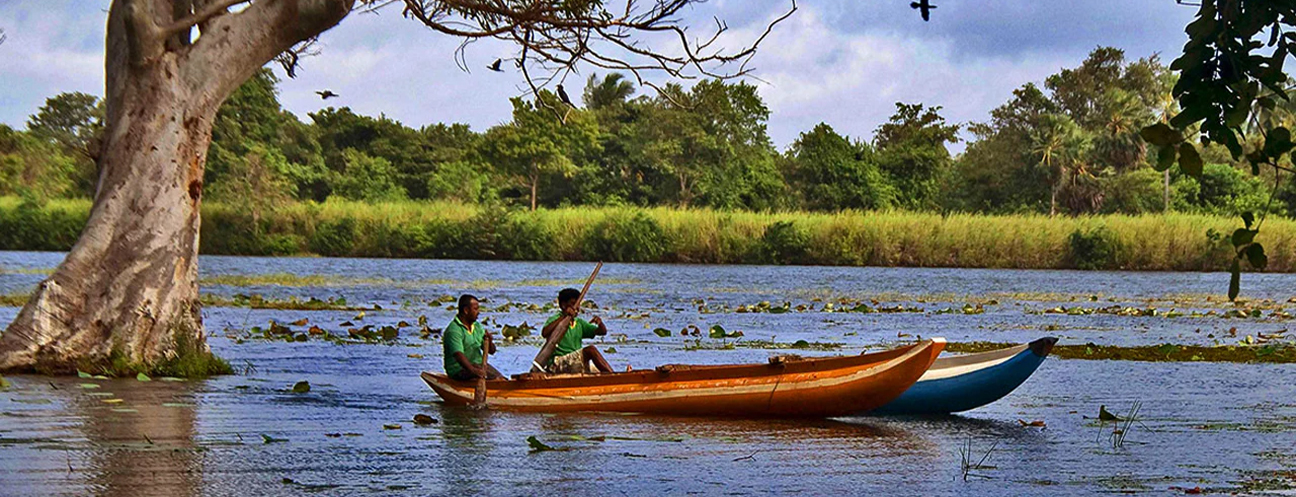 UK released the travel advice on Sri Lanka. Cover Image