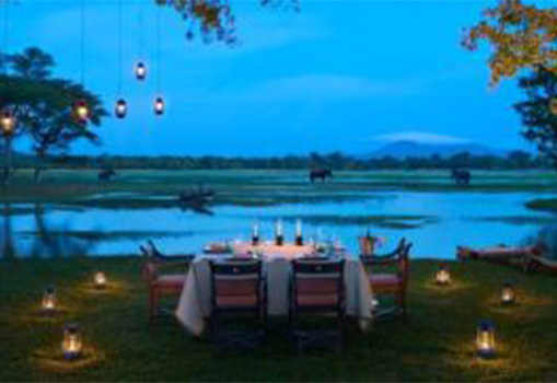 Sri Lanka Travel Guide