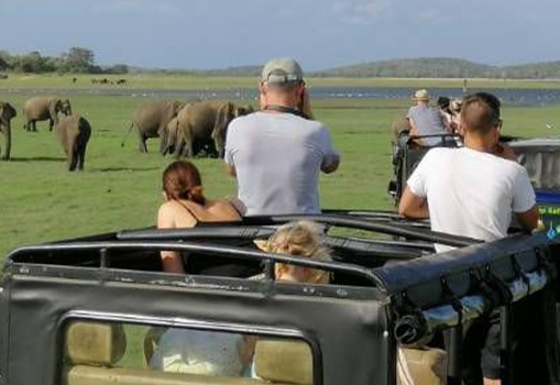 Sri Lanka Travel Guide - FAQ