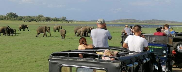 src="https://www.ceylonexpeditions.com/medias/media/big/746/family-holiday5-1-4-3.jpg"