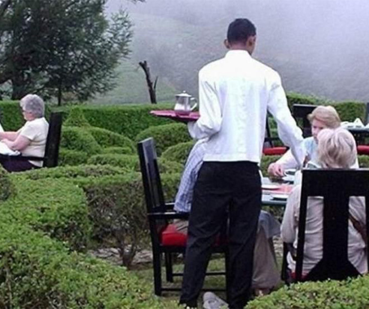 History of Heritance Tea Factory