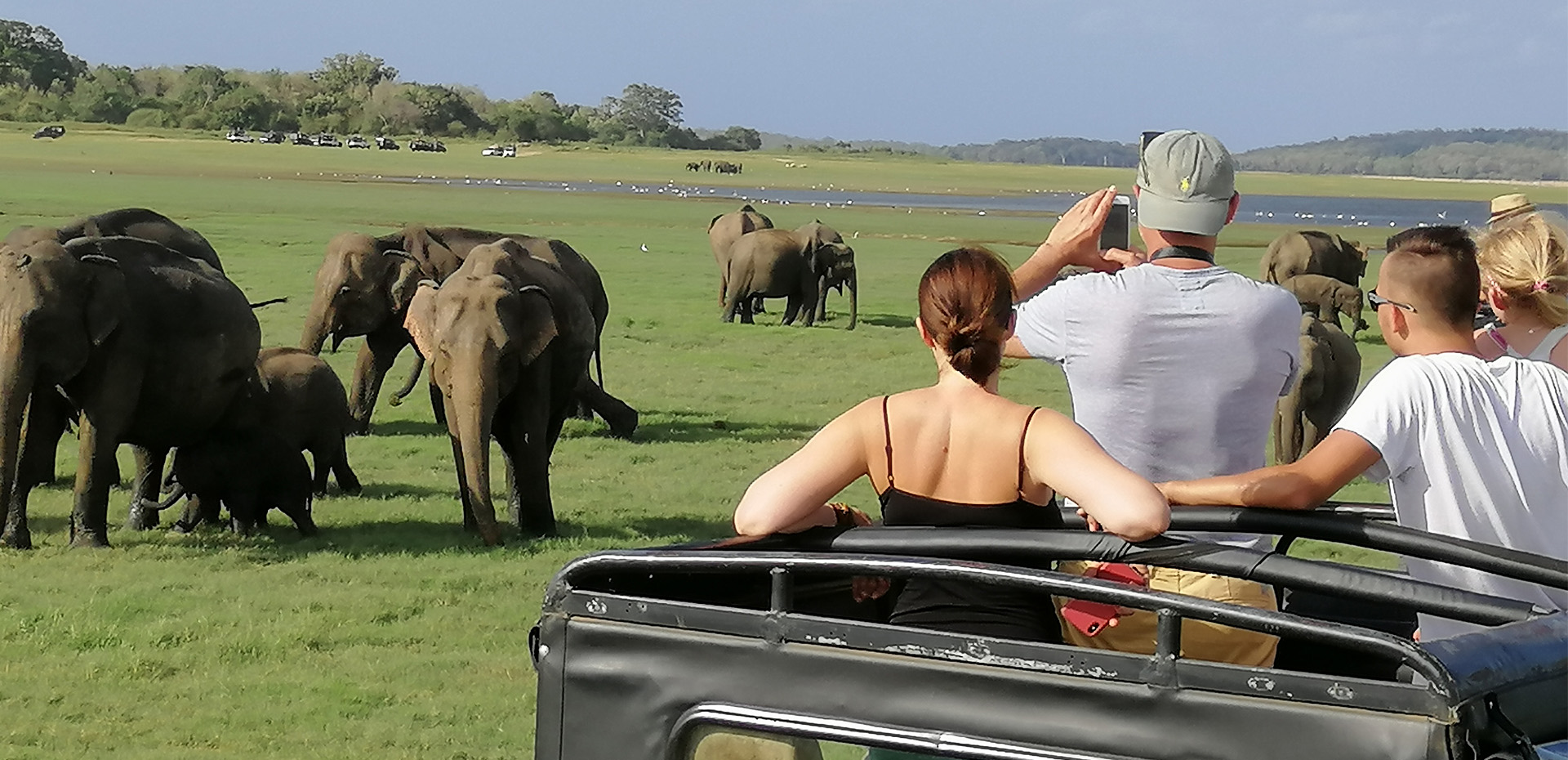 tourists-capture-pictures-of-elephants-at-minneriya-safari