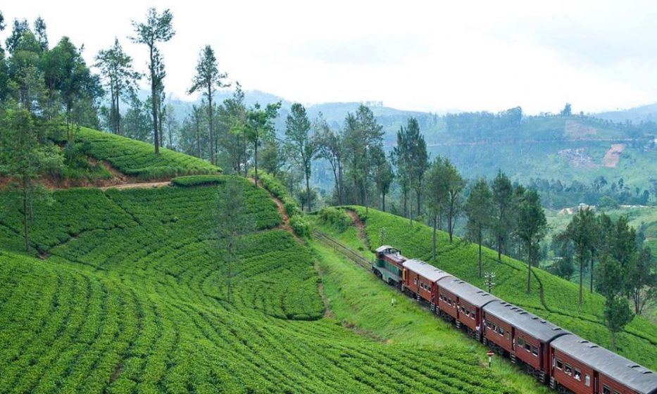Attractions of Sri Lanka