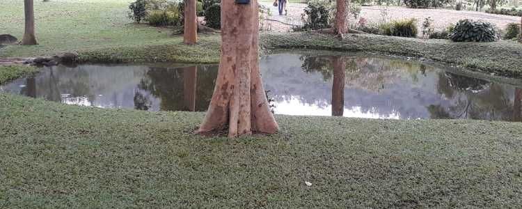 Seethawaka Wet Zone Botanical Garden Image