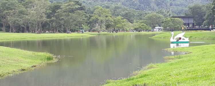 Seethawaka Wet Zone Botanical Garden Image