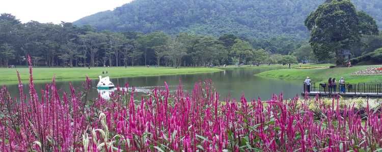 Seethawaka Wet Zone Botanical Garden Image